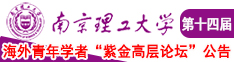 插鸡巴的视频网站南京理工大学第十四届海外青年学者紫金论坛诚邀海内外英才！